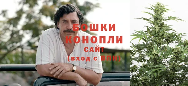 apvp Костерёво