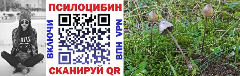 Галлюциногенные грибы мицелий OMG зеркало Карпинск маркетплейс клад сколько стоит
