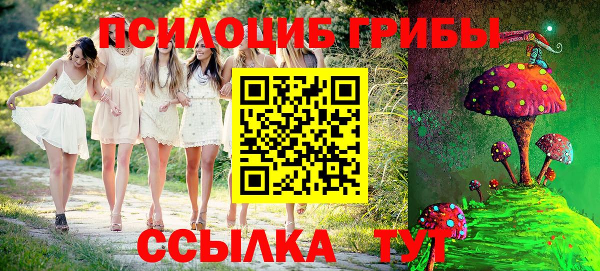 Галлюциногенные грибы Cubensis Карпинск