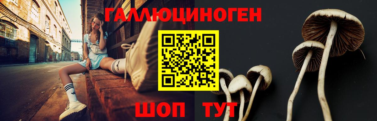 Псилоцибиновые грибы ЛСД  Карпинск 